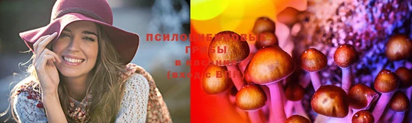 бошки Аркадак