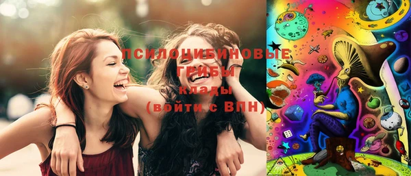 бошки Аркадак